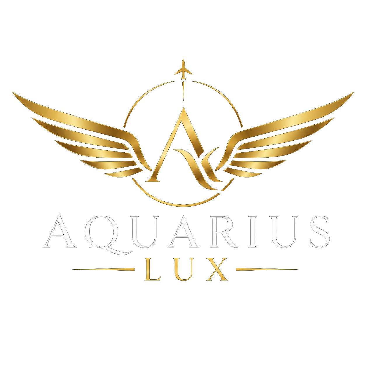 Aquarius Lux Aircraft Detailing